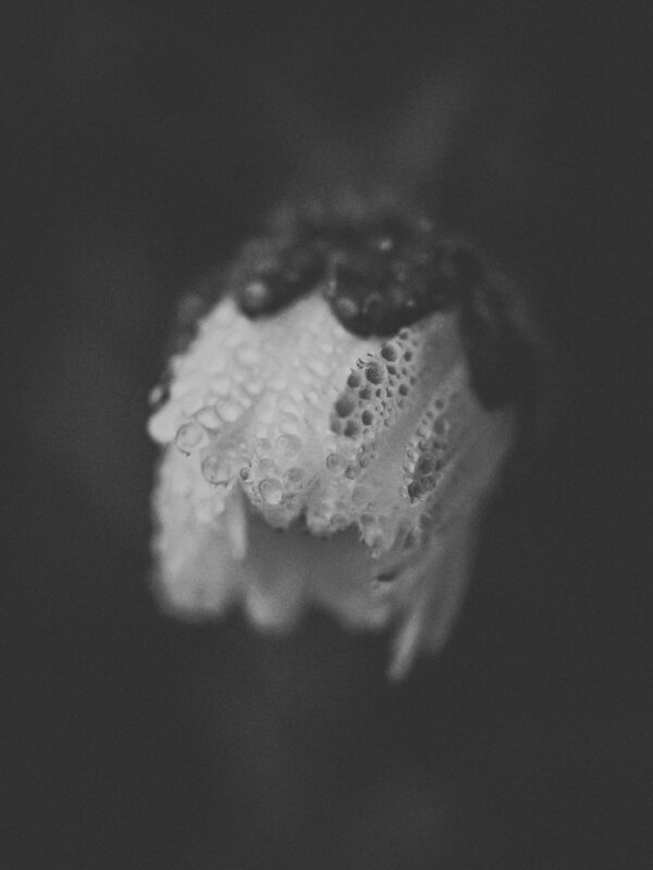 SOUS LA SURFACE